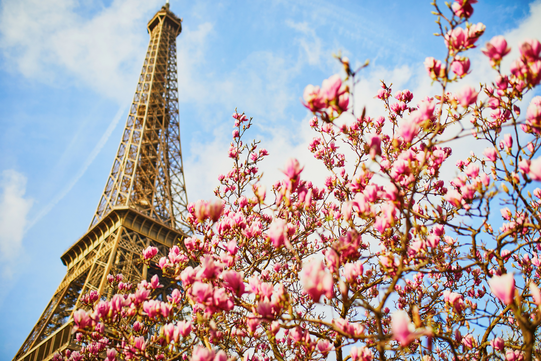 SPRING TIME IN PARIS
